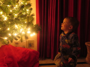 Christmas Tree time