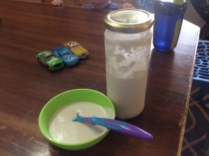 First batch of homemade coconut yoghurt!